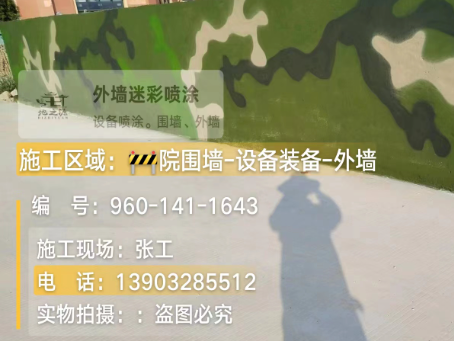 日照 迷彩漆喷涂价格（按平方米计费）